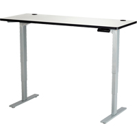 Safco 1960GRGR Electric Height-Adjustable Table, Stand-Alone Desk, 50" H x 60" W x 24" D, Grey