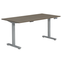 Offices To Go ML6030ET2 ACJ Ionic Height Adjustable Table, Stand-Alone Desk, 45-1/4" H x 60" W x 30" D, Grey