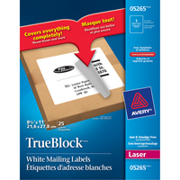 Étiquettes d'expédition au laser TrueBlock<sup>MC</sup>, 11" la x 8,5" la x Blanc  OT813 | TENAQUIP