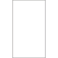 Belle-Pak IB100 Packing List Envelopes, 3-3/4" L x 7" W, Computer Style