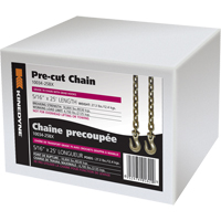 Chains  PE965 | TENAQUIP