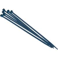 Outils Aurora PG819 Attache-c&acirc;bles d&eacute;tectables par d&eacute;tecteur de m&eacute;taux, 6" lo, R&eacute;sistance &agrave; la traction 120 lb