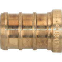 Bow Plumbing 524611 Capuchon de tuyau sans plomb, Tuyau, 1/2" dia., Laiton