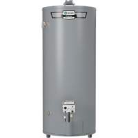 A.O. Smith 100281022 Chauffe-eau &agrave; gaz BT, Capacit&eacute; de 275 L, 75100 BTU, &eacute;vent &agrave; l'air libre