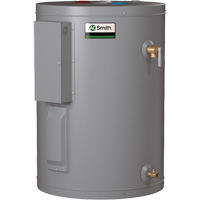 A.O. Smith 100131572 DEL Dura-Power Light Duty Electric Water Heater