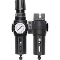 Topring 50.670A Filtre/d&eacute;tendeur & filtre coalescent Modulair 300 avec bol standard & drain manuel, 3/8" NPTF, 150 psi, Capacit&eacute; de 5,12 oz liq