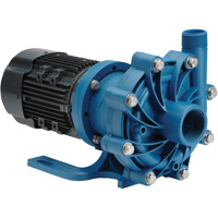 FTI Finish Thompson Inc. DB15P-M209 Magnetic Drive Pump with Carbon Bushing