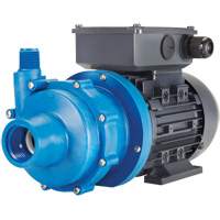 FTI Finish Thompson Inc. DB3P-M612 Magnetic Drive Pump with Carbon Bushing