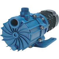 FTI Finish Thompson Inc. SP11P-M215 Self-Priming Magnetic Drive Pump with Carbon Bushing
