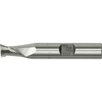 Weldon Shank End Mill, 2" Dia., 2 Flutes, High Speed Steel  BI315 | TENAQUIP