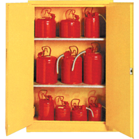 Insulated Flammable Liquid Safety Cabinets, 30 gal., 2 Door, 44" W x 45" H x 19" D  SA087 | TENAQUIP