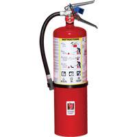 Extincteur d'incendie, ABC, Capacité 10 lb  SA443 | TENAQUIP