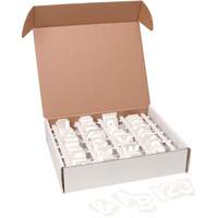 Brady 175498 Trousse d'&eacute;tiquettes &agrave; caract&egrave;res gothiques individuels Quick-Align, Num&eacute;ros/lettres/ponctuation assortis, 3" h, Blanc