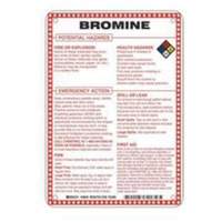 Brady 48849 Enseigne Bromine Potential Hazards, 10" x 7", Fibre de verre, Anglais avec pictogramme
