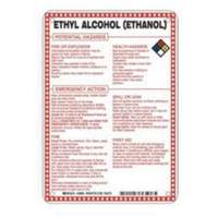 Brady 48864 "Ethyl Alcohol (Ethanol) Potential Hazards" Sign, 10" x 7", Fiberglass, English with Pictogram