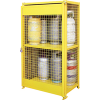 Gas Cylinder Cabinets, 12 Cylinder Capacity, 44" W x 30" D x 74" H, Yellow SAF847 | TENAQUIP