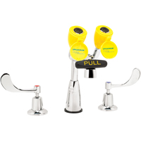 Speakman SEF-1800-CA Faucet & Eyewash Station, Sink Mount Installation