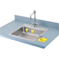 Encon 01040128 Poste de douche oculaire Swing-Away, Installation Montage sur comptoir