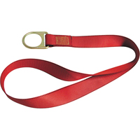 MSA 10042792 PointGuard Anchorage Connector Straps, D-Ring, Temporary Use