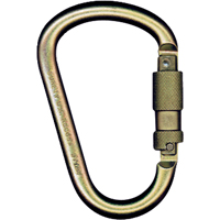 Carabiners, Steel, 5000 lbs Capacity SAM500 | TENAQUIP