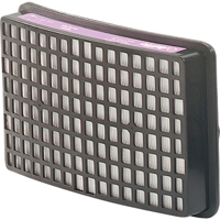 3M 15-0299-99X02 Speedglas Respiratory Protection-replacement Filters & Cartridges, P100 Filter, Pack of 2