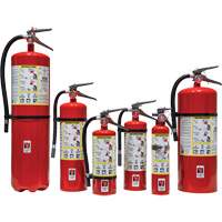 Strike First Corporation SFABC310VB Extincteur d'incendie, ABC, Capacit&eacute; 5 lb