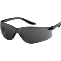 Z500 Series Safety Glasses, Grey/Smoke Lens, Anti-Scratch Coating, ANSI Z87+/CSA Z94.3 SAS362 | TENAQUIP