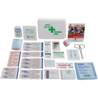 Trousses de premiers soins promotionnelles, Dispositif médical Classe 1, Boîte en plastique  SAY231 | TENAQUIP