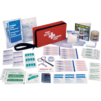 Safecross 01341 Rectangle First Aid Kits, Class 1 Medical Device, Nylon Bag