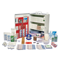 Safecross 01391 Workplace Deluxe First Aid Kits, Class 1 Medical Device, Metal Box