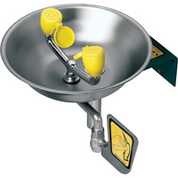Speakman SE-490 Eye/Face Wash Station, Wall-Mount Installation, Stainless Steel Bowl