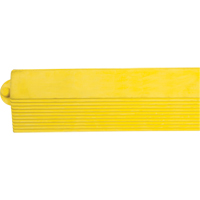 Produits de sécurité Zenith SDL870 Rampe de bordure pour tapis