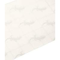 Produits de sécurité Zenith SDN106 Ruban antid&eacute;rapant de premi&egrave;re qualit&eacute;, 6" x 60', Transparent
