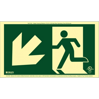 Brady 143542 Enseigne de sortie coureur BradyGlo avec fl&egrave;che vers le bas &agrave; gauche, 8-1/2" x 15", Plastique, Pictogramme