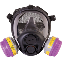 PIP Global Safety RU65002L North&reg; RU6500 Series Full Facepiece Respirator, Silicone, Large