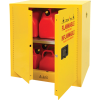 Zenith Safety Products Safety Cabinets