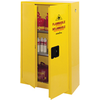 Armoire pour produits inflammables, 45 gal., 2 Porte(s), 43" La x 65" h x 18" p SDN647 | TENAQUIP