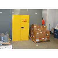 Zenith Safety Products SDN647 Flammable Storage Cabinet, 45 gal., 2 Door, 43" W x 65" H x 18" D