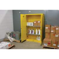 Zenith Safety Products SDN647 Flammable Storage Cabinet, 45 gal., 2 Door, 43" W x 65" H x 18" D