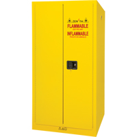 Flammable Storage Cabinet, 60 gal., 2 Door, 34" W x 65" H x 34" D SDN648 | TENAQUIP