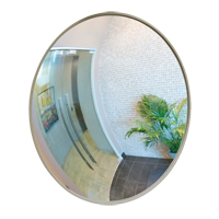 Zenith Safety Products SDP503 Convex Mirror with Bracket, Indoor/Outdoor, 30" Diameter