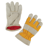 Premium Winter-Lined Work Gloves, Medium, Grain Pigskin Palm, Foam Fleece Inner Lining SDL021 | TENAQUIP