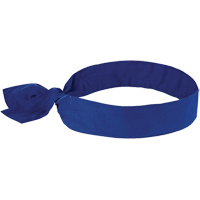 Ergodyne 12307 Foulards de refroidissement Chill-Its 6700, Bleu