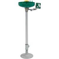 Haws 7261-7271 Axion&reg; Eye/Face Wash Station, Pedestal Installation, Plastic Bowl