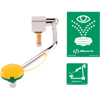 Haws 7610 Eye/Face Wash Station, Sink Mount Installation