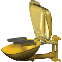 Bradley S19224PDCFW Halo Face/Eyewash Stations, Wall-Mount Installation, Plastic Bowl