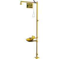 Bradley S19314EW Halo Combination Emergency Shower & Eyewash Station