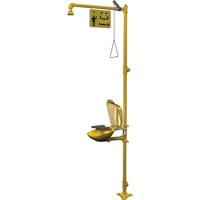 Bradley S19314PDCFW Halo Combination Emergency Shower & Eyewash Station