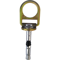 PRO™ Concrete D-ring Anchor with Bolt, Concrete/D-Ring, Permanent Use  SEB928 | TENAQUIP