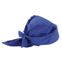Ergodyne 12327 Foulards de refroidissement en triangle Chill-Its 6710, Bleu